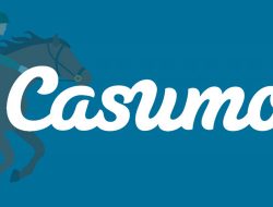 Hovedet-til-Royal-Ascot-med-Casumo-Casino