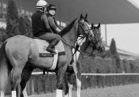 Royal-Ascot-fornemmelser-–-fem-guld-kopper-at-huske