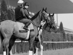 Royal-Ascot-fornemmelser-–-fem-guld-kopper-at-huske