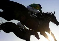 Royal-Ascot-vidundere---10-heste-der-vandt-på-Massive-Odds